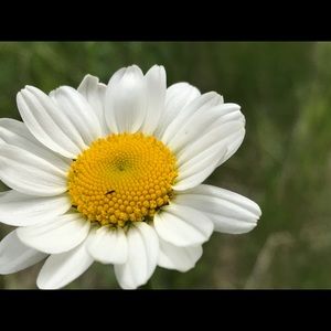 Meet your Posher, Arron